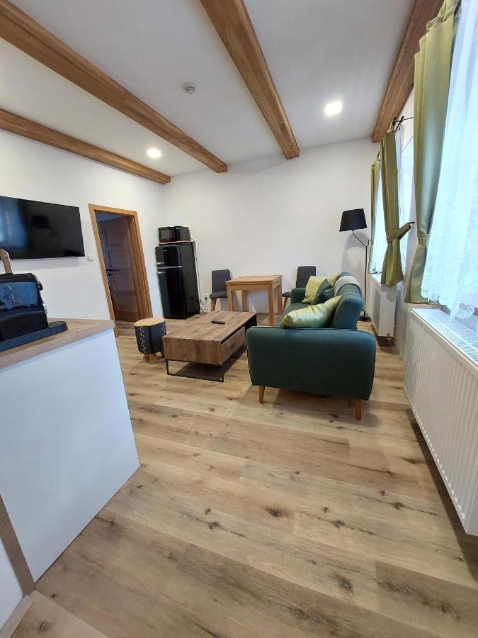 Villa Celnice Český Krumlov Extérieur photo