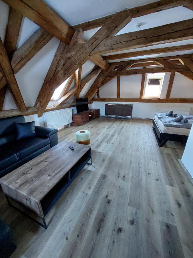 Villa Celnice Český Krumlov Extérieur photo