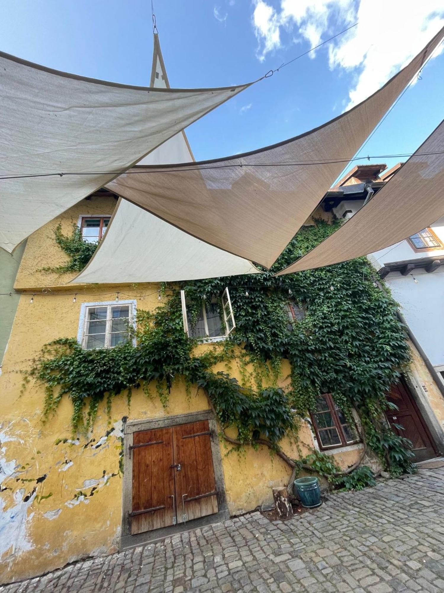 Villa Celnice Český Krumlov Extérieur photo